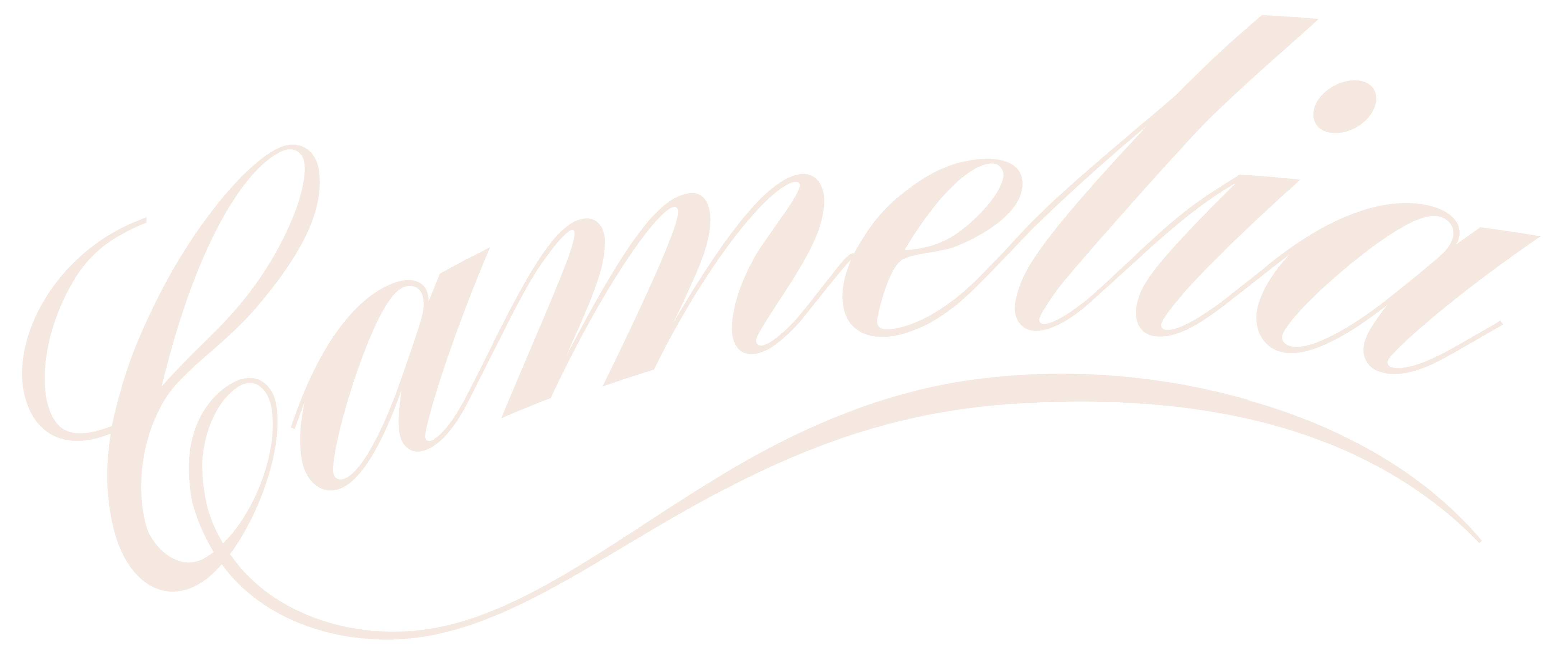 Camelia Grove Hotel